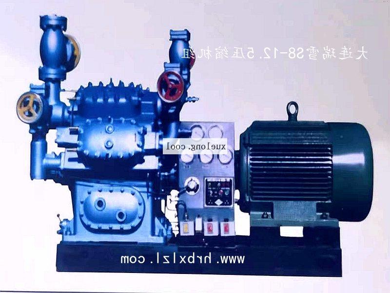 Dalian Ruixue 125 piston refrigeration compressor